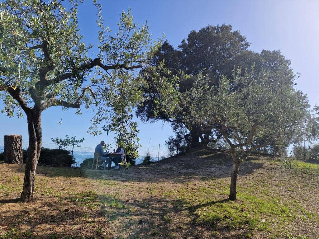 Una coppia di ospiti fa colazione con vist panoramica.